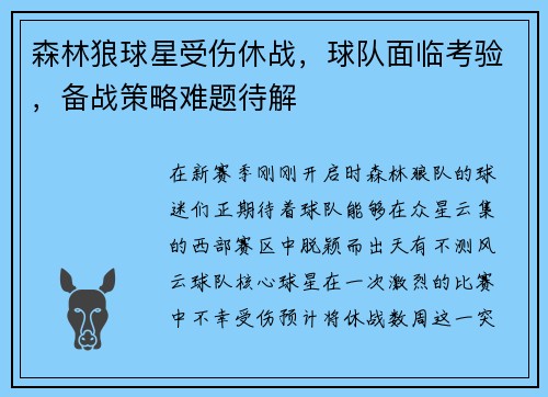 森林狼球星受伤休战，球队面临考验，备战策略难题待解